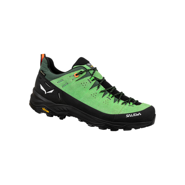 Pánske trekové topánky|  Alp trainer 2 GTX