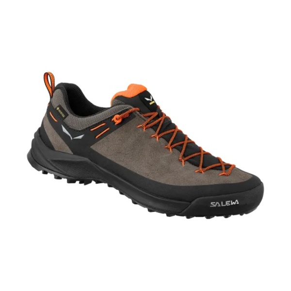 Pánske topánky | Wildfire leather GTX