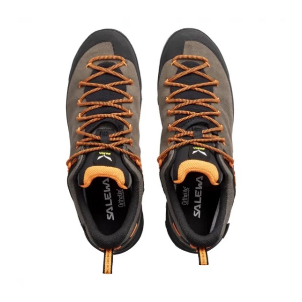 Pánske topánky | Wildfire leather GTX