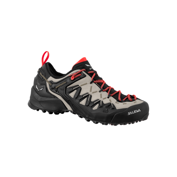 Dámske topánky | Wildfire edge GTX