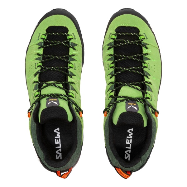 Pánske trekové topánky|  Alp trainer 2 GTX